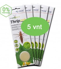 Tripsų vabzdžių vilioklis THRIPNOK, MAXI pakuotė 5 VNT. (kaina nurodyta 1 vnt.)